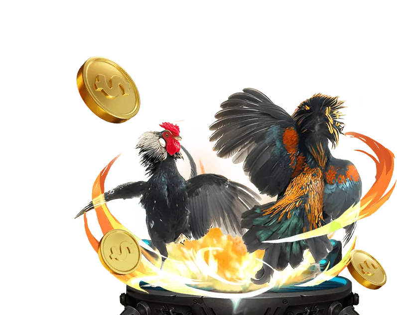 Giới thiệu tổng quan về nền tảng fc888 casino